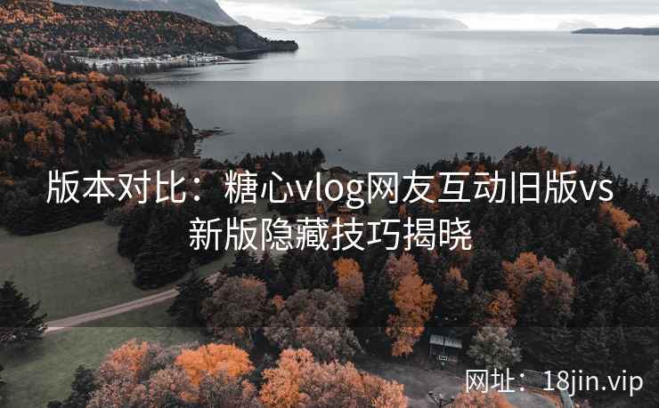 版本对比：糖心vlog网友互动旧版vs新版隐藏技巧揭晓