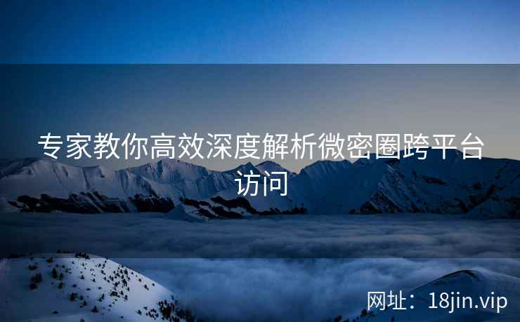 专家教你高效深度解析微密圈跨平台访问