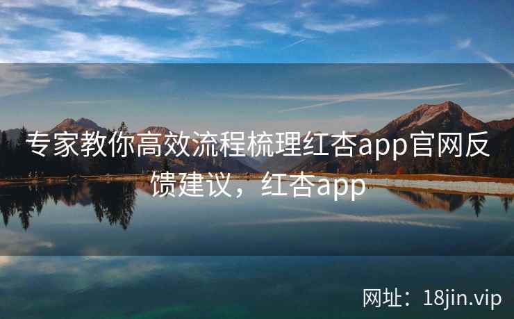 专家教你高效流程梳理红杏app官网反馈建议，红杏app