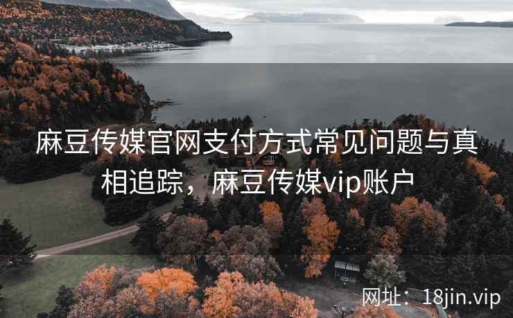 麻豆传媒官网支付方式常见问题与真相追踪，麻豆传媒vip账户