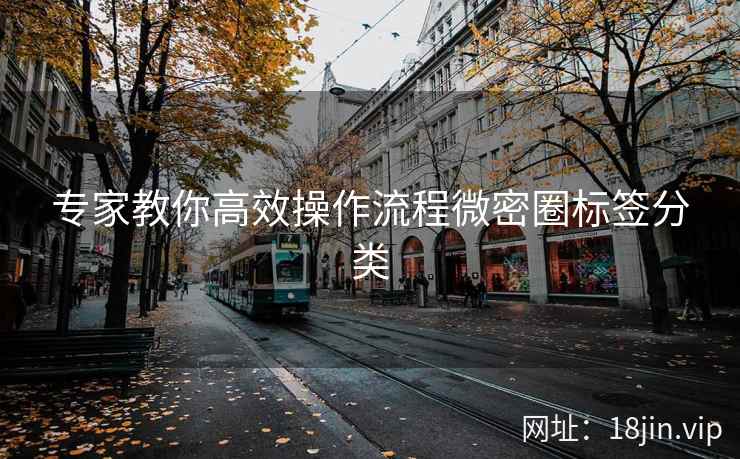 专家教你高效操作流程微密圈标签分类
