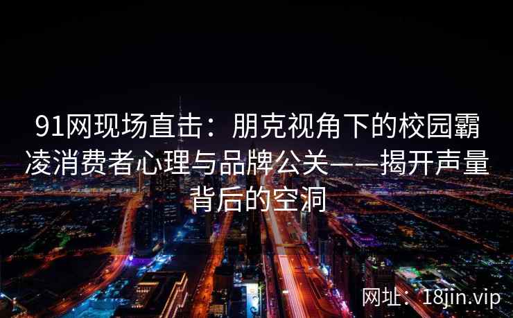 91网现场直击：朋克视角下的校园霸凌消费者心理与品牌公关——揭开声量背后的空洞