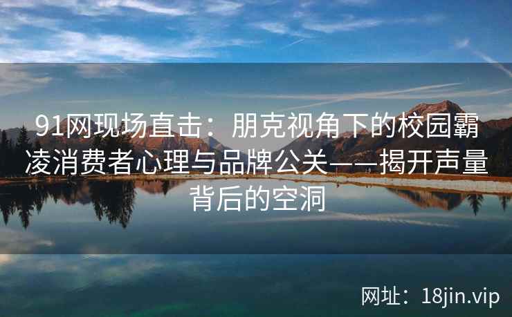 91网现场直击：朋克视角下的校园霸凌消费者心理与品牌公关——揭开声量背后的空洞