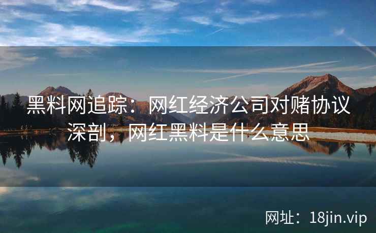 黑料网追踪：网红经济公司对赌协议深剖，网红黑料是什么意思