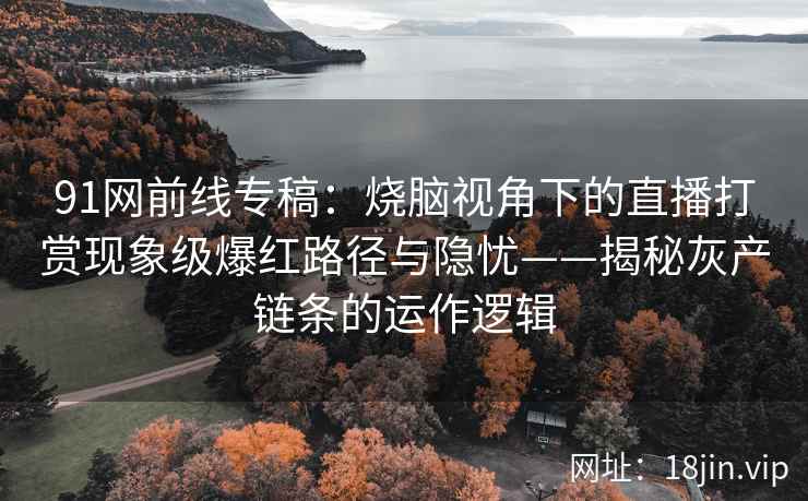 91网前线专稿：烧脑视角下的直播打赏现象级爆红路径与隐忧——揭秘灰产链条的运作逻辑
