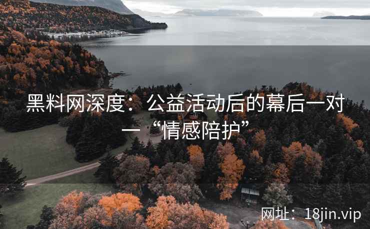黑料网深度：公益活动后的幕后一对一“情感陪护”