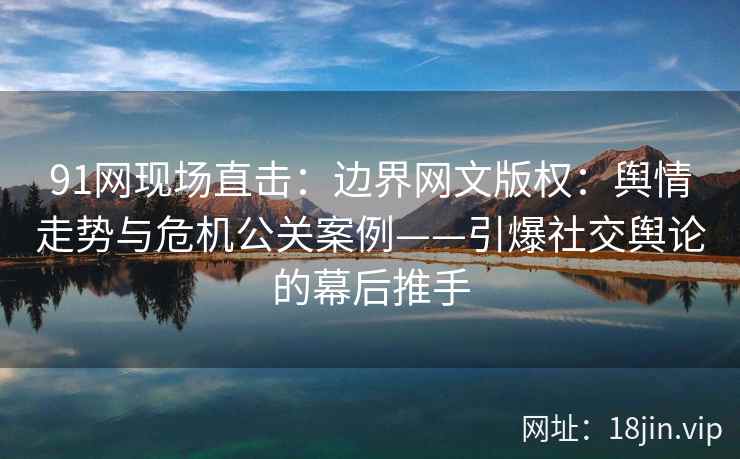 91网现场直击：边界网文版权：舆情走势与危机公关案例——引爆社交舆论的幕后推手