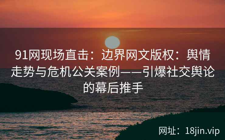 91网现场直击：边界网文版权：舆情走势与危机公关案例——引爆社交舆论的幕后推手