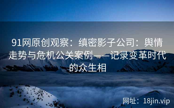 91网原创观察：缜密影子公司：舆情走势与危机公关案例——记录变革时代的众生相