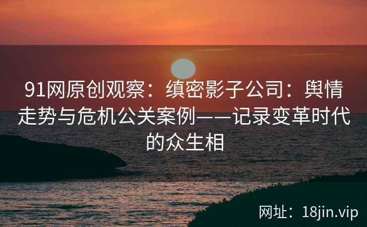 91网原创观察：缜密影子公司：舆情走势与危机公关案例——记录变革时代的众生相
