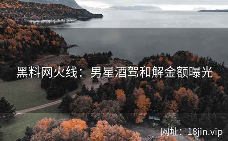 黑料网火线：男星酒驾和解金额曝光  第2张