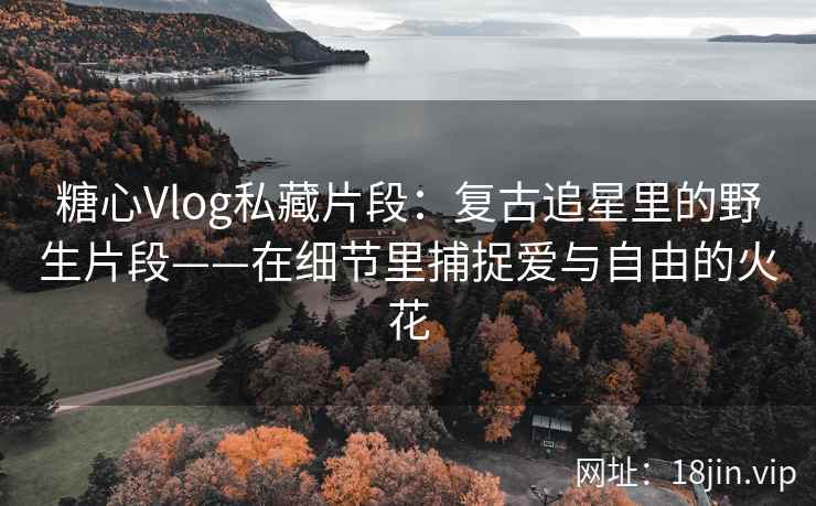 糖心Vlog私藏片段：复古追星里的野生片段——在细节里捕捉爱与自由的火花